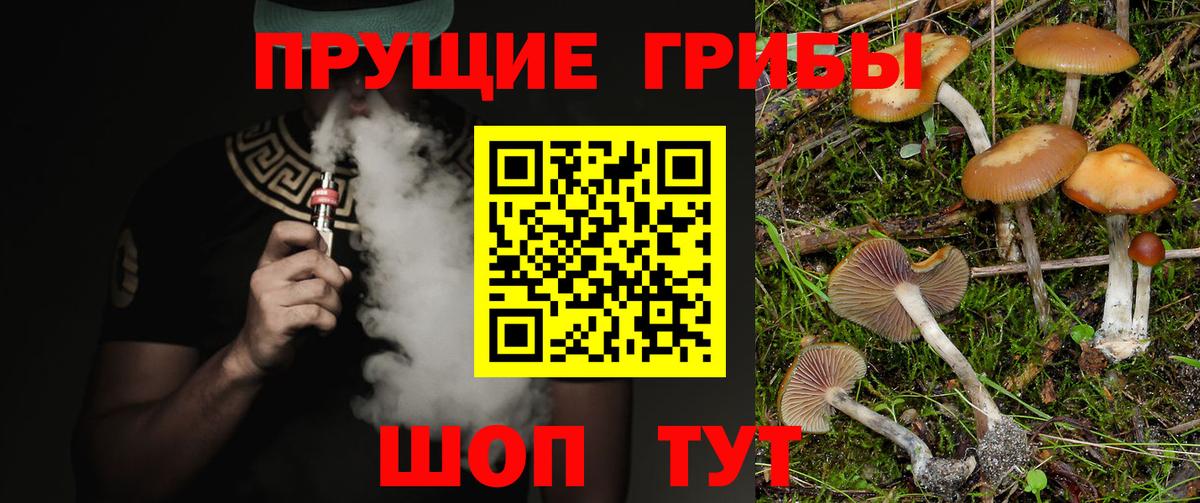 Псилоцибиновые грибы MAGIC MUSHROOMS Сальск